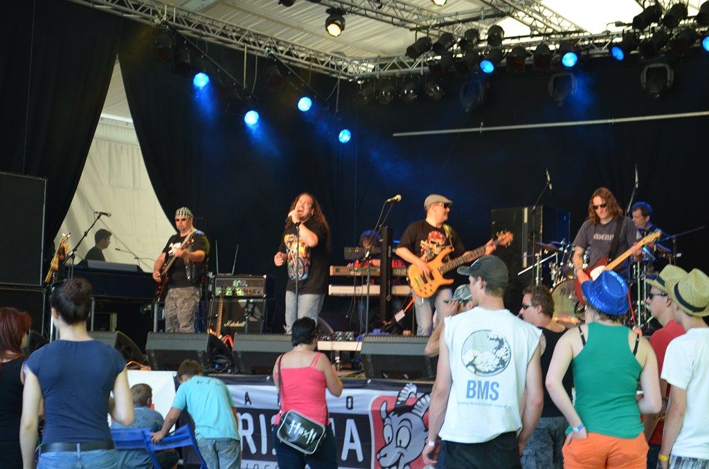 2013 Openair Rheinwald